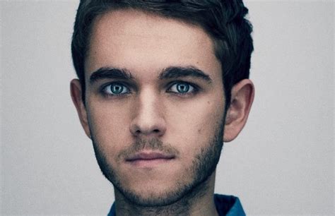 L'Éclat de Zedd en France : Un Concert Electrique et une Rencontre Inattendue avec un Chaton Aventurier !